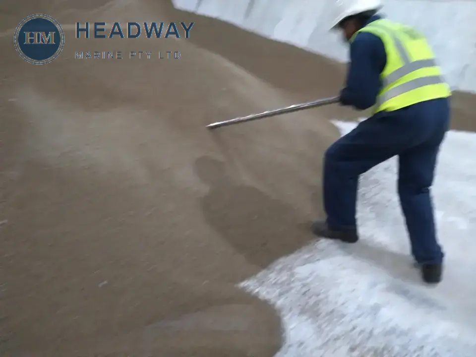 Marine surveyor collecting an increment sample from bulk fertiliser